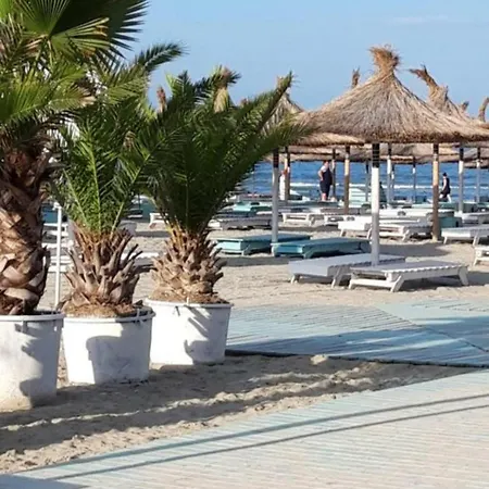 Alezzi Mamaia Nord - 20 M De Plaja 公寓